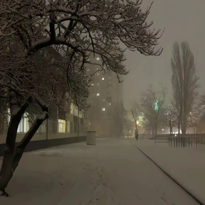 亚洲欧美熟妇久久久久久久久
