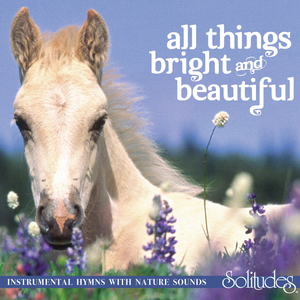 亚洲欧美熟妇久久久久久久久
